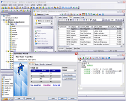 EMS SQL Manager for MySQL