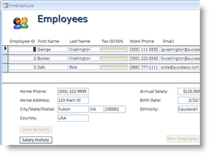 FormSafe for Access