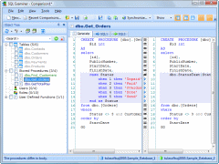 SQL Examiner 2009