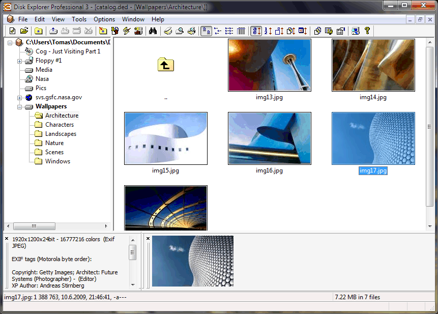 Disk Explorer Professional