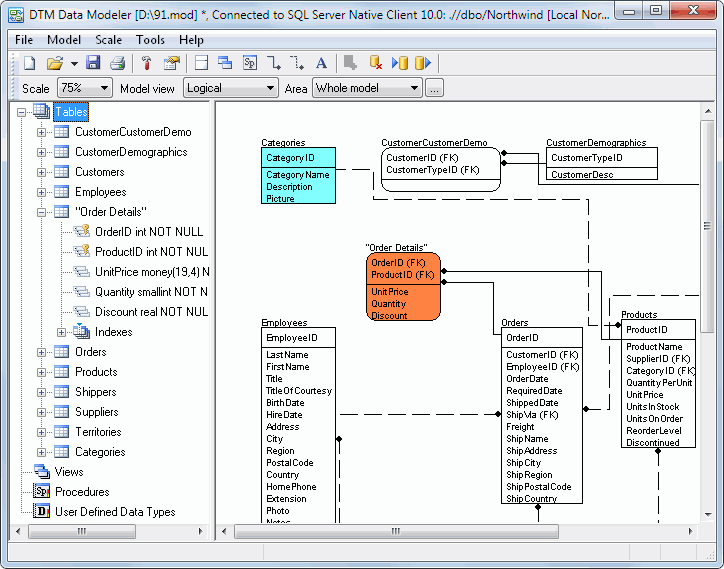 DTM Data Modeler