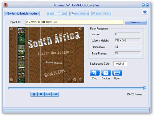 Moyea SWF to MPEG Converter