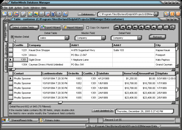 NativeWinds Database Manager