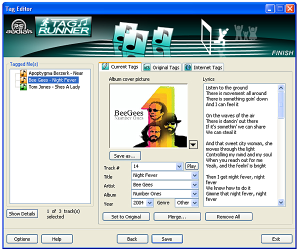 Tagrunner ID3, Lyrics, Cover editor