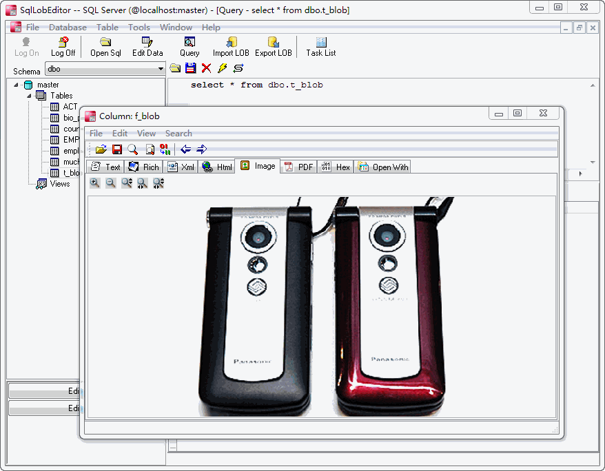 SqlLobEditor