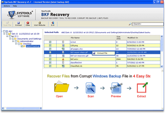 MS BKF Repair