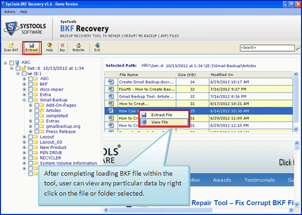 Unrecognized BKF Data