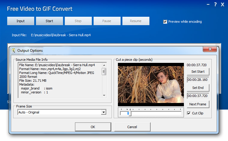 Free Video to GIF Convert