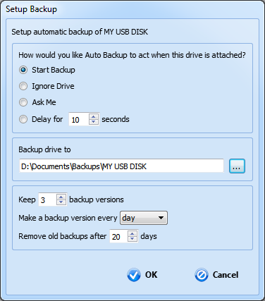 Auto Backup