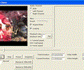 VISCOM Video Media Player Pro ActiveX OCX SDK