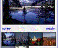 Active Image Viewer
