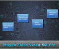 Moyea Flash Video MX Pro