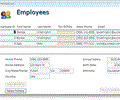 FormSafe for Access