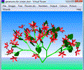 Virtual Flower