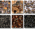 Imagelys Texture Pack #1
