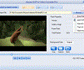 Moyea SWF to Video Converter Pro