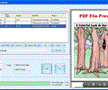 PDF Splitter Software