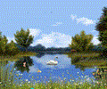 Spring Lake - Animated Wallpaper