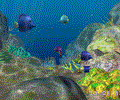 3D Coral World screensaver