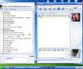 MSN Messenger