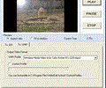 VISCOM Video Edit ActiveX Control