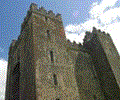 Irish Castles Screen Saver