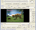 GOGO Picture Viewer ActiveX SDK