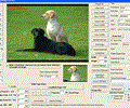 VISCOM Image Viewer CP Pro ActiveX SDK