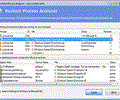 Svchost Process Analyzer