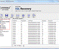 Recover SQL Error 8942