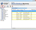 SQLite Corruption Recovery